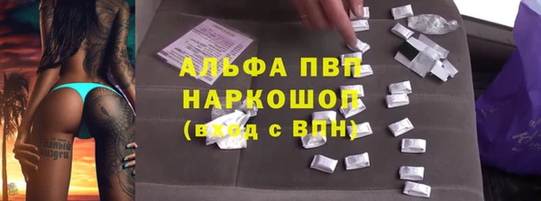PSILOCYBIN Бугульма